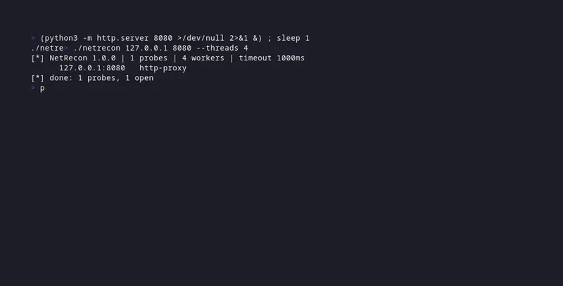 netrecon scanning localhost ports with concurrent banner grabbing